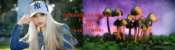 индика Абинск