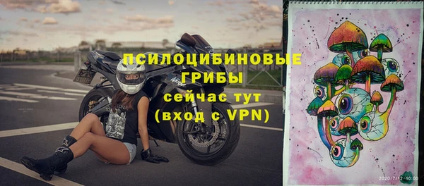 индика Абинск