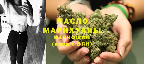 индика Абинск