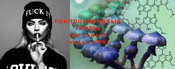 прущая мука Абаза