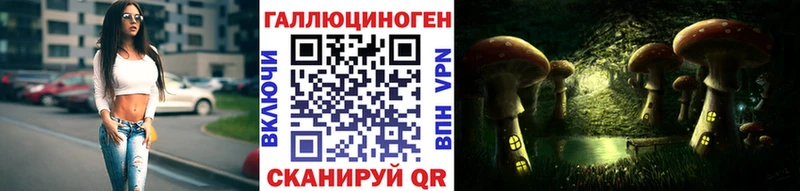 хочу наркоту  Екатеринбург  Галлюциногенные грибы Psilocybine cubensis 